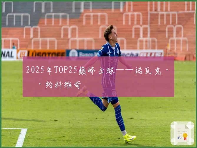 2025年TOP25巅峰击球——诺瓦克·德约科维奇