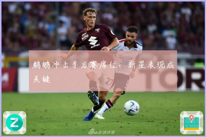 鹈鹕冲击季后赛席位，新星表现成关键