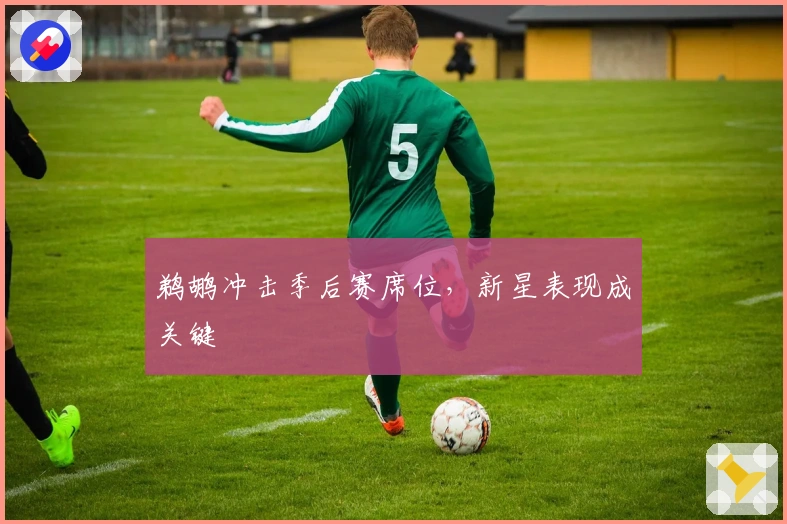 鹈鹕冲击季后赛席位，新星表现成关键