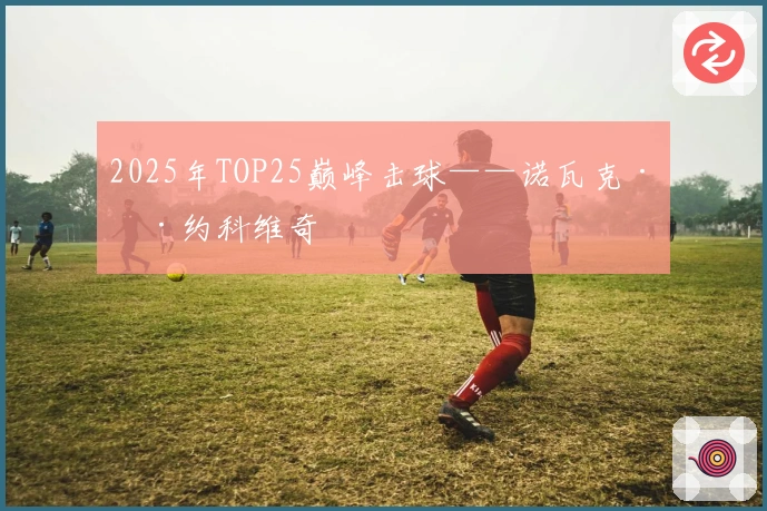 2025年TOP25巅峰击球——诺瓦克·德约科维奇